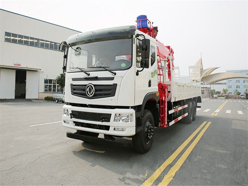 東風(fēng)后八輪【10-12噸】隨車吊帶爬梯